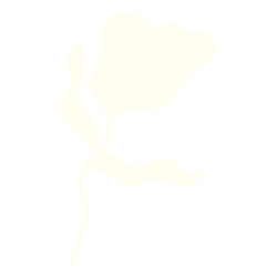 Mesa